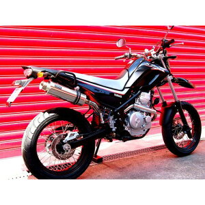 BEAMS SS300 Abv^Cv tGL][Xg}t[ TCT[ \jbN B215-07-003 r[X }t[{ oCN XT250X