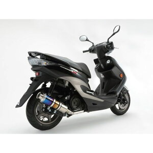 BEAMS SS300 }t[ TCT[ `^ B220-09-000 r[X }t[{ oCN VOiX X Fi