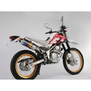 BEAMS SS300 Abv^Cv XbvI}t[ TCT[ `^ B224-09-004 r[X }t[{ SEROW250 Fi