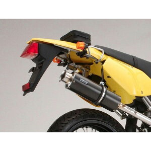 BEAMS SS300 Abv^Cv XbvI}t[ TCT[ J[{ B309-08-004 r[X }t[{ oCN 250SB