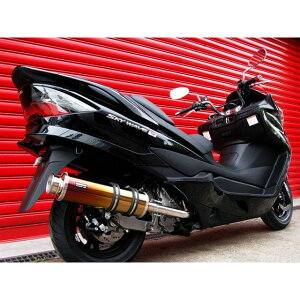 BEAMS SS400 }t[ TCT[ `^II B310-18-000 r[X }t[{ oCN SKYWAVE