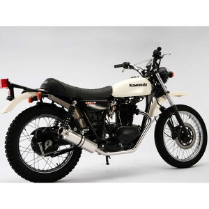 BEAMS SS300 }t[ TCT[ \jbN B411-07-000 r[X }t[{ oCN 250TR FiiO2ZT[tj