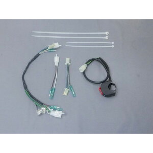 C.F.POSH ���[�V���OSP�n�[�l�X�L�b�g Type2�i�L���X�C�b�`�E�V�[�\�[�^�C�v�j �E220215 ���[�J�[�݌ɂ��� �N���G�C�e�B�u�E�t�@�N�g���[ �|�b�V�� �d���X�C�b�`�E�P�[�u�� NSR50