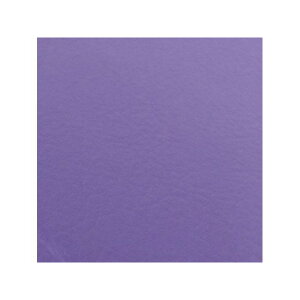 Grondement {V[gJo[/YZF-R1iRN13Nj2004-2006VOitgjyp[vziցj GH5700YC310 Oh} V[g֘Ap[c YZF-R1