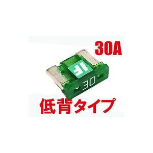 ICE FUSE ICE FUSE ��w 30A IF-LP30A BK56010 �A�C�X�t���[�Y ���̑��d���p�[�c �ėp