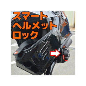 正規品／リドロック スマートヘルメットロック リッドロックス 09年以降スポーツスター用（6mmボルト3種類付属/国産車にも使用可） ユニバーサルヘルメットロック/クローム Lid-2003-C Lidlox その他外装関連パーツ バイク スポーツスタ…