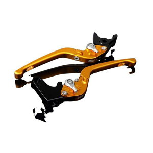 SPEEDRA A~rbgAWXgo[Zbg 3D|io[{́F}bgS[hj AWX^[ }bgVo[ LVDM006GD-SR SPEEDRA o[ VFR1200F