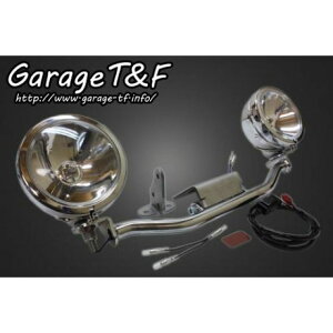T&F �t�H�O�����v�X�e�[�L�b�g �EDS250FG01 �K���[�WT&F �w�b�h���C�g�E�o���u �h���b�O�X�^�[250
