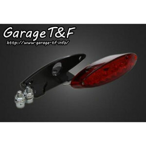 T&F �X���[���X�l�[�N�A�C�e�[�������vLED �����t�F���_�[��p �EDS250JF08 �K���[�WT&F �e�[���֘A�p�[�c �h���b�O�X�^�[250
