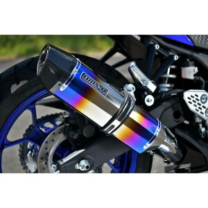 BMS RACING FACTORY CORSA-EVO II XbvI}t[ q[g`^ {F G263-65-P6J BMS }t[{ oCN YZF R-25