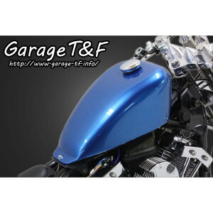 T&F ~fBAX|[cX^[^NLbg EDS400GT02 K[WT&F ^N֘Ap[c oCN hbOX^[400/NVbN