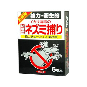 ikari ̓`[N Ɩp 6 [J[݌ɂ CJ pi pi