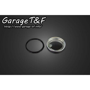 T&F �}�X�^�[�V�����_�[�����YSET �EDS400ZG02 �K���[�WT&F �u���[�L��C�p�[�c �h���b�O�X�^�[400