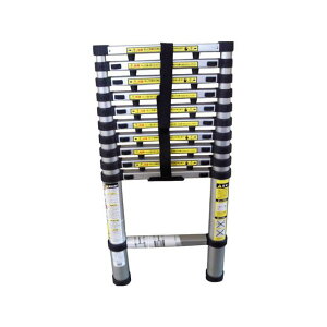 SAKAKEN }CX^[ Lk͂13i 3.8m 〉 pi pi