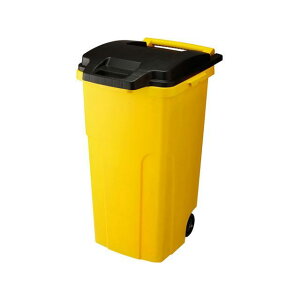 risu LX^[y[ 90C2 2ց GGYE009 X pi pi