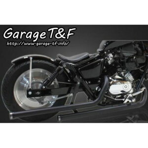 T&F hbOpCv}t[ }t[Ght }t[ ubN Gh A~/RgXg EMG250ML15 K[WT&F }t[{ oCN }Oi250