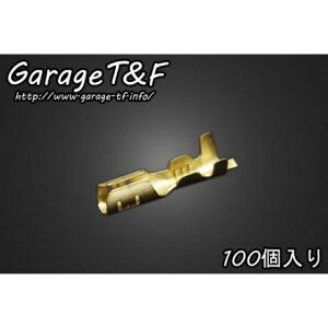 T&F ی^M{V[q Xi100j EPC16 K[WT&F ̑dp[c oCN ėp