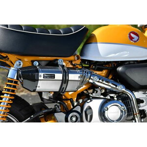 BEAMS CORSA-EVO II tGL][Xg}t[ XeX {F G187-64-000 r[X }t[{ oCN L[125