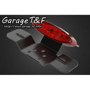 T&F X[Xl[NACe[v LED ETL45 K[WT&F e[֘Ap[c oCN ėp