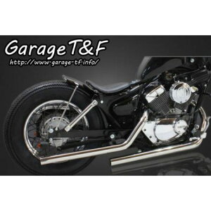 T&F hbOpCv}t[ ^CvII J[ XeX EXV250ML03 K[WT&F }t[{ oCN r[S250