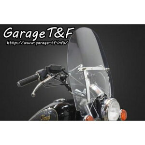 T&F EChXN[ EXV250WS01 K[WT&F XN[֘Ap[c oCN r[S250