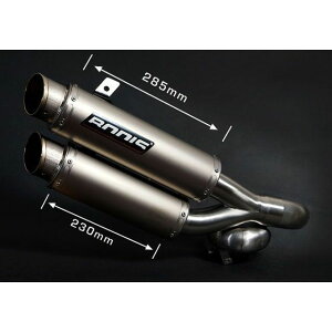 BODIS GPX2-S �X���b�v�I��-�Z�b�g 4-4�E�X�e�����X/�t���`�^���bKZ1000-008 bod_KZ1000-008 �{�f�B�X �}�t���[�{�� Z1000 / Z1000R / Z1000SX