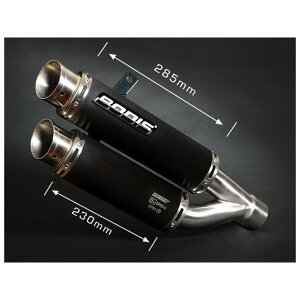 BODIS XbvI}t[ XeX ubN GPX2 for FZ1i2006-jbYFZ1-008 bod_YFZ1-008 {fBX }t[{ oCN FZ1