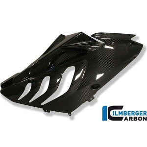 ILMBERGER �t�F�A�����O���[�X�T�C�h�p�l�� �E�� �b VER.055.S1RAB.K ilm_VER_055_S1RAB_K �C�����o�[�K�[ �J�E���E�G�A�� S 1000 RR Stocksport S 1000 RR Racing