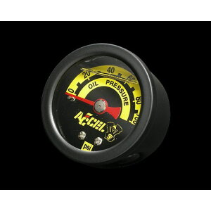 ACCEL 100PSIICvbV[Q[W J[  E012195 ANZ EERv oCN ėp