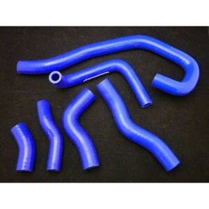 T2Racing MC21E28Z^[vOp VRWG^[z[XytZbgz T2-N25-RHC-S T2[VO WG^[֘Ap[c oCN NSR250