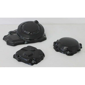 S2 Concept Crankcase protection KAWASAKI ZX10R 2011-17 �J�[�{�� �b CAKJR-C287 s2_CAKJR-C287-carbon S2�R���Z�v�g �G���W���J�o�[�֘A�p�[�c ZX10R