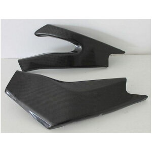 S2 Concept Swingarm protection YAMAHA R6 2008-16 �b CAYJR-C059-R6 s2_CAYJR-C059-R6 S2�R���Z�v�g �h���X�A�b�v�E�J�o�[ R6