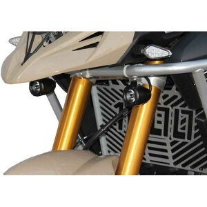 S2 Concept Radiator grille DL1000 A~jE b W12S4082 s2_W12S4082-aluminium S2RZvg WG^[֘Ap[c oCN DL 1000