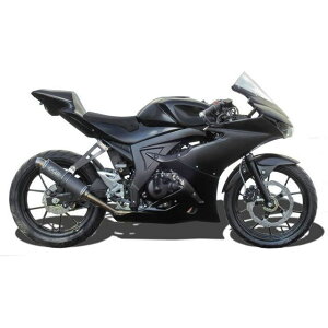 S2 Concept Fairing complet Suzuki GSX-R125 from 2017 �b CASS2-S120 s2_CASS2-S120 S2�R���Z�v�g �J�E���E�G�A�� GSX-R 125