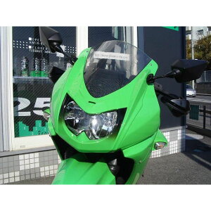 PLEASURE Ninja250R フェイスパネル 仕様 Type1 PK31801 プレジャー カウル・エアロ バイク Ninja250R