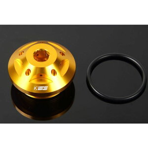SPEEDRA 1400GTR 08-15�p�I�C���t�B���[�L���b�v M30×P1.5 �J���[ �S�[���h AOC0102GD-30 SPEEDRA �G���W���I�C���p�[�c 1400GTR