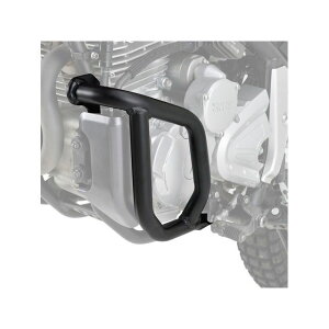 DAYTONA pCvGWK[h 99255 [J[݌ɂ fCgi GWK[h oCN Z[250