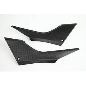 SPEEDRA KAWASAKI NINJA250/Z250 13-p SSKIWi TChJo[ hCJ[{ J[ D艐 CK00104PM SPEEDRA JEEGA NINJA250/Z250