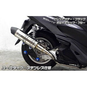 WirusWin トリシティ125用 アニバーサリーマフラー ユーロタイプ ステンレス仕様 ビレットステー ブラック ボルトキャップ レッド オプション なし ウイルズウィン マフラー本体 バイク トリシ
