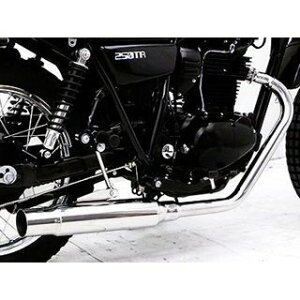 WirusWin 250TRiFIԁjp OhV[v}t[ ECYEB }t[{ oCN 250TRiFIj