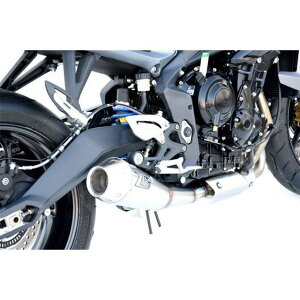 ZARD XeXX`[ EURO 3 HOMOLOGATED XbvI for TRIUMPH STREET TRIPLE i2013j b ZTPH516SSO zar_ZTPH516SSO U[h }t[{ oCN STREET TRc