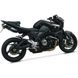 ZARD SILVER XeXX`[ -ALU EURO 3 HOMOLOGATED XbvI for SUZUKI B-KING b ZS200ASO-S zar_ZS200ASO-S U[h }t[{ oCN B-KING