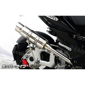 WirusWin G-MAX125p C}t[ |bp[^Cv O2ZT[t IvV Ȃ ECYEB }t[{ oCN G-MAX125