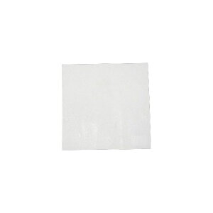 ACCEL MrKXPbg ExpϔMKXPbgV[g 10×10in E012234 ANZ ̑GW֘Ap[c ėp