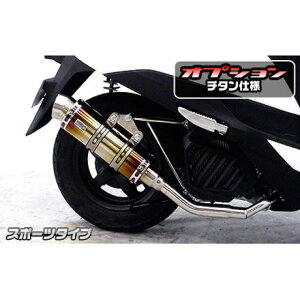 WirusWin リード125(JF45)用 ロイヤルマフラー スポーツタイプ オプション オプションB+D ウイルズウィン マフラー本体 バイク リード125
