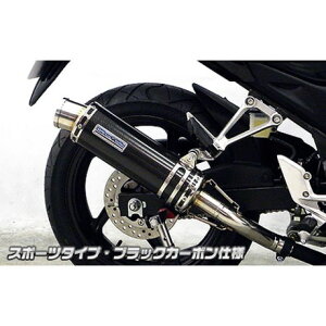 WirusWin CB250Fi14-jp XbvI}t[ X|[c^Cv TCT[ ubNJ[{dl ECYEB }t[{ oCN CB250F