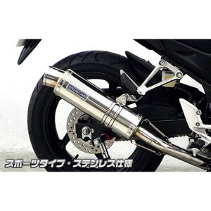 WirusWin CB250Fi14-jp _Ci~bN}t[ X|[c^Cv TCT[ XeXdl ECYEB }t[{ oCN CB250F