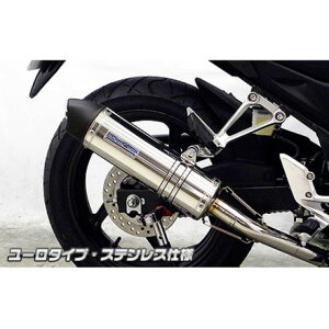 WirusWin CB250Fi14-jp _Ci~bN}t[ [^Cv TCT[ `^dl ECYEB }t[{ oCN CB250F