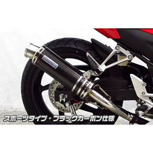 WirusWin CBR250R(14-)用 スリップオンマフラー スポーツタイプ サイレンサー ブラックカーボン仕様 ウイルズウィン マフラー本体 バイク CBR250R