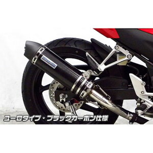 WirusWin CBR250R(14-)用 スリップオンマフラー ユーロタイプ サイレンサー ブラックカーボン仕様 ウイルズウィン マフラー本体 バイク CBR250R